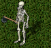 skeleton archer