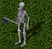 skeleton hunter