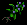 nightshade